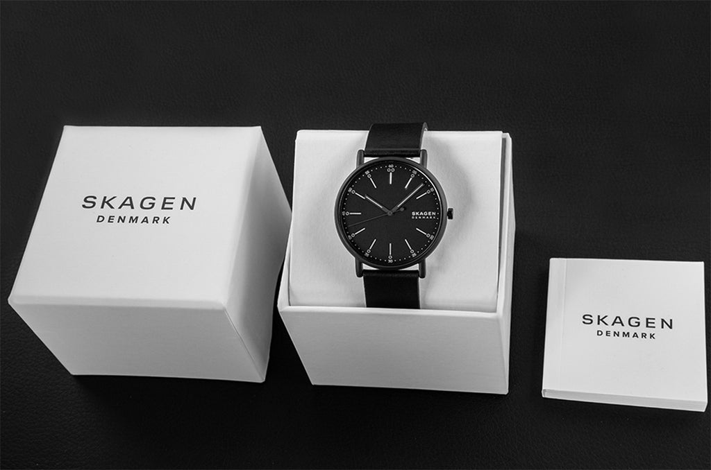 Zegarek Męski SKAGEN Signatur SKW6902