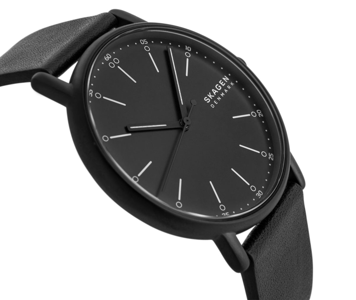 Zegarek Męski SKAGEN Signatur SKW6902