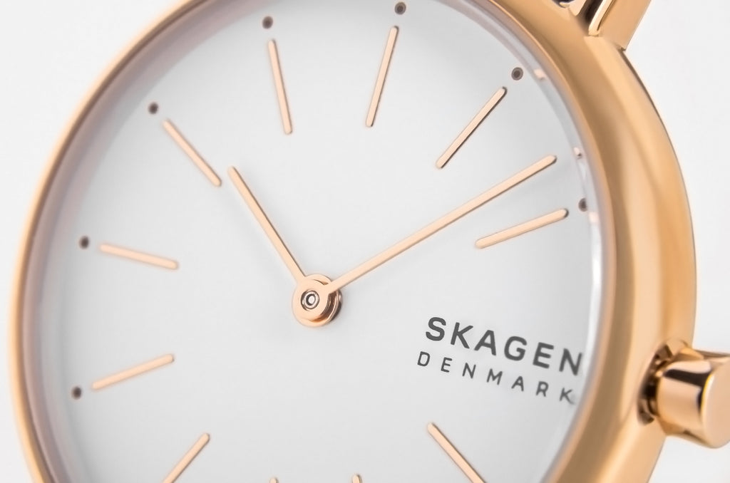 Zegarek Damski SKAGEN Signatur SKW2838