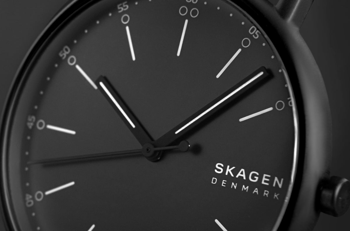 Zegarek Męski SKAGEN Signatur SKW6902